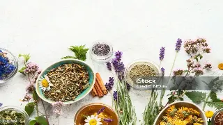 从古至今的桑拿传奇：探寻身体焕活的千年密码 图片