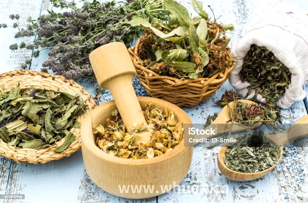 专业按摩教程