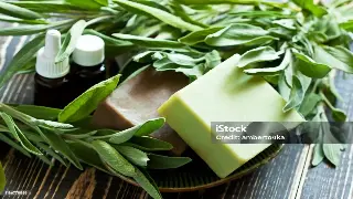 天津康复教练教你如何在家做好科学自我拉伸与省钱保养 图片