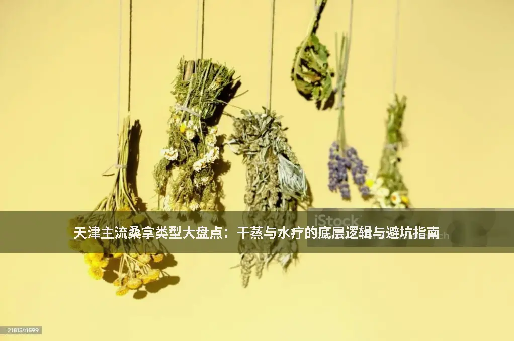 桑拿类型